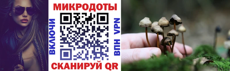 Псилоцибиновые грибы MAGIC MUSHROOMS  как найти   Невельск 